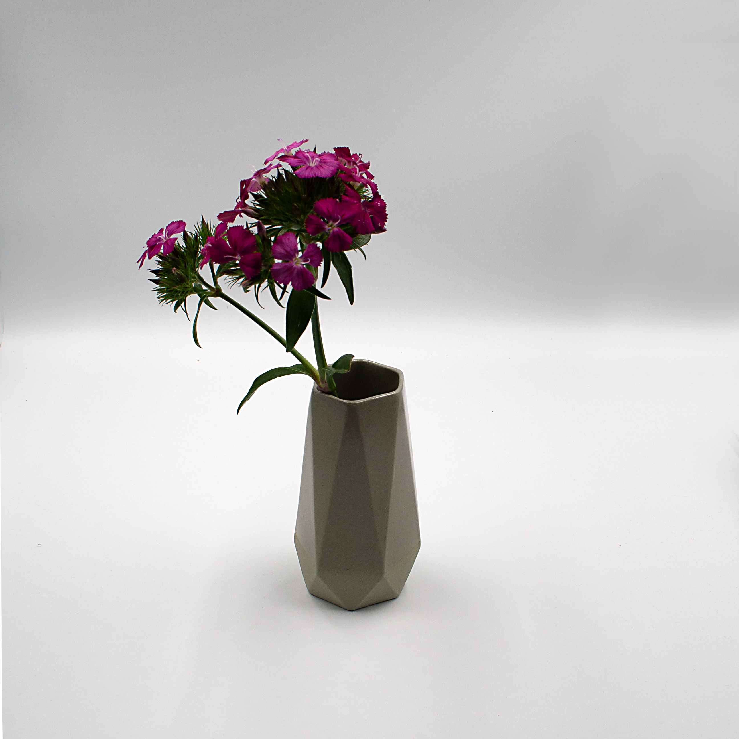 IDA Vase petrichor